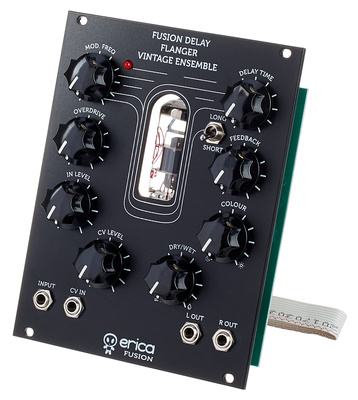 Fusion Delay/Flanger/Vint. Ens