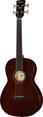 Ibanez AVNB1FE-BV Artwood Bass
