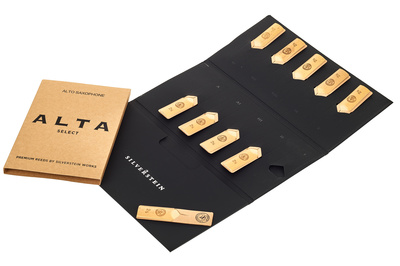Silverstein ALTA Alto Saxophone 2.5