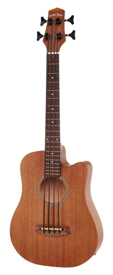 Gold Tone Micro Bass 23 w/Bag