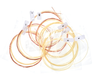Renaissance Lute Strings 8C