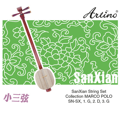 Chinese SanXian Strings Set