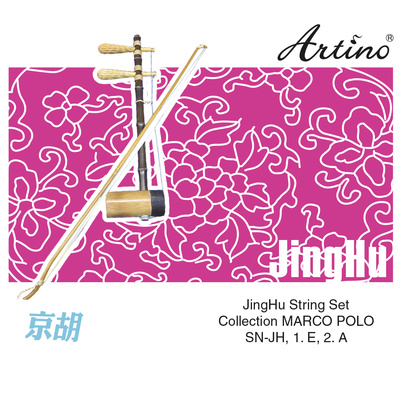 Chinese JingHu Strings Set