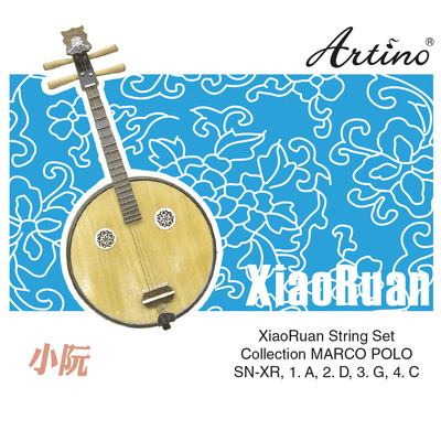 Artino Chinese XiaoRuan Strings Set