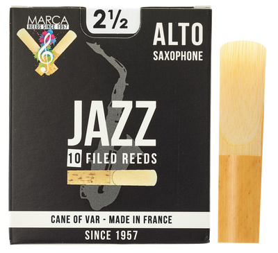 Jazz filed Alto Saxophone 2.5