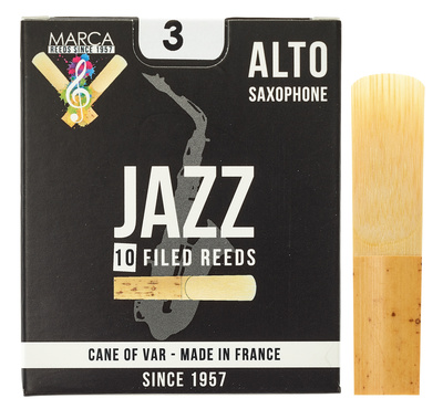 Jazz filed Alto Saxophone 3.0