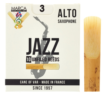 Jazz Alto Saxophone 3.0