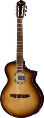 Ibanez AEWC300N-NNB