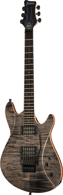 Framus Teambuilt Diablo II Progressiv
