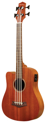 La basse acoustique Gold Tone Micro Bass 23 w/Bag LH | Test, Avis & Comparatif