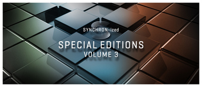 VSL Synchron-ized SE Volume 3 Download