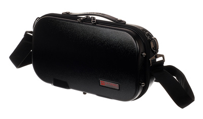 BM307 Micro Zip Case Bb- Cl.