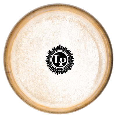 663A Bongo Head City EZ 6"