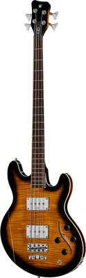 Warwick Artist Line SklarBass I VSTH