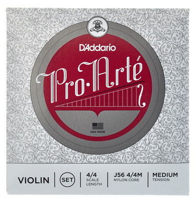 J56 4/4M Pro Arte Violin Str.