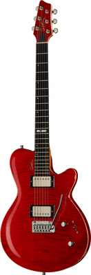 Godin DS-1 Daryl Stuermer Signature