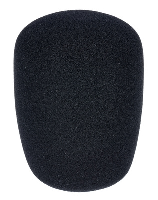 WS-002 Windscreen