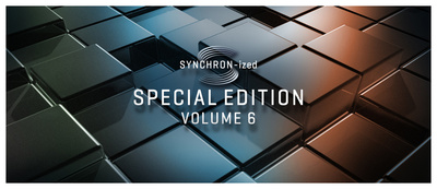 VSL Synchron-ized SE Volume 6 Download
