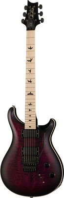 PRS CE 24 Dustie Waring Floyd WB