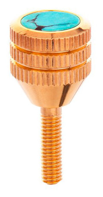 Neck Screw Yanagisawa 24K