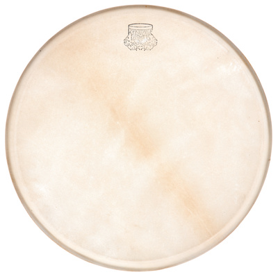 12" Kangaroo Drum Head medium