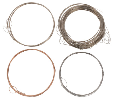 Nataraj Dilruba Strings Set