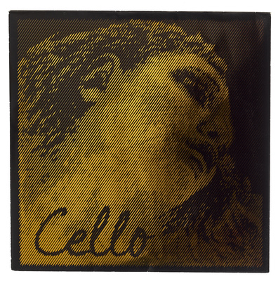 Pirastro Evah Pirazzi Gold Cello G Str.