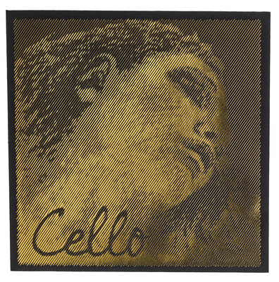 Pirastro Evah Pirazzi Gold Cello C Str.