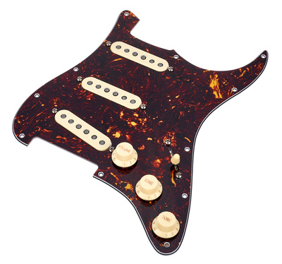 58 Q.Coil Hot Br. Pickguard TT