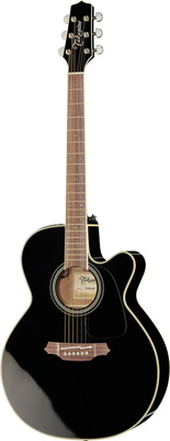 Takamine PTU561SP Custom