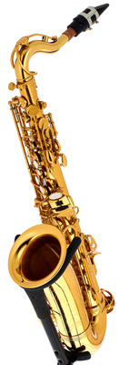 Little Bee Kids Saxophone