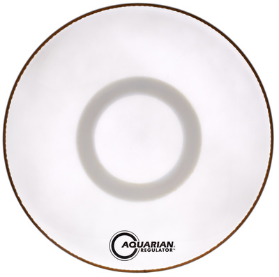 Aquarian 22" Regulator White w/o hole