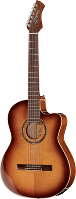 Ortega RCE238SN-FT