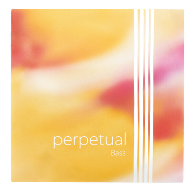 Perpetual Double Bass Solo B3