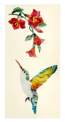 Hummingbirds & Flowers