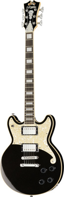 DAngelico Premier Brighton Black Flake