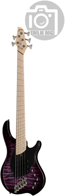CB3 Combustion 5 Ultra Violet