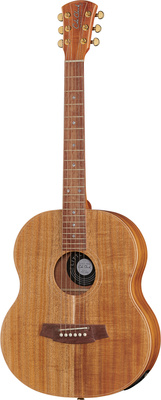 Cole Clark LL2E-BLBL