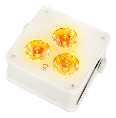 Ape Labs ApeLight maxi V2 (B) Set 1 C