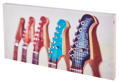 t.akustik Print Panel Guitars Headstocks