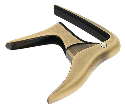 Ortega BGCAPO