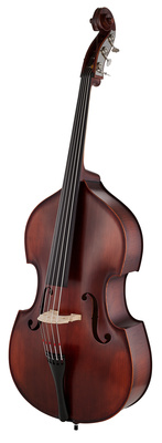 22AS/5str/LH 3/4 Europe Bass