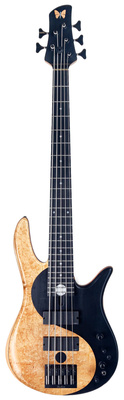 Fodera Yin Yang Std 5 Blister Maple