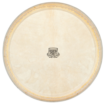 Thomann 11" Conga kangaroo head