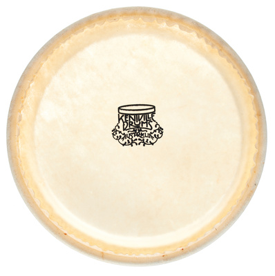 Thomann 7" Bongo kangaroo head