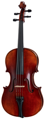 Maestro 6 Ant. Viola 16''