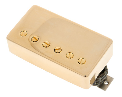 Custombucker Gold