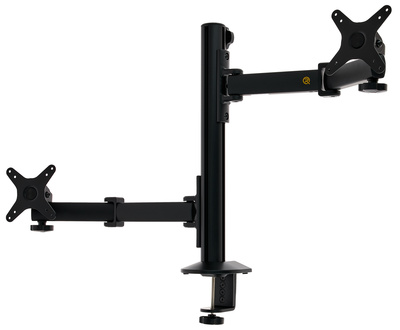 Roadworx TM-X 2x VESA Set