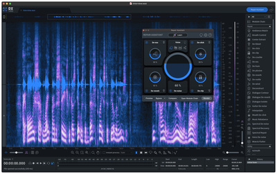 iZotope RX 10 Std UG RX1-9St/Ad/PPS1-6 Download
