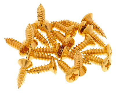 Pickguard Screws GD